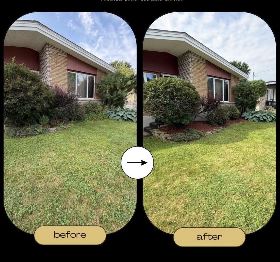 Before and after property maintenance transformation by Prestige Property Maintenance